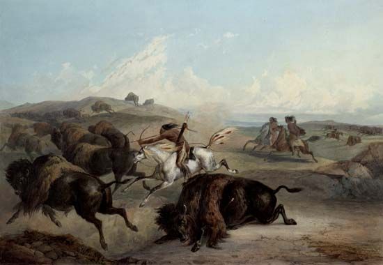 Plains Indians: bison hunt